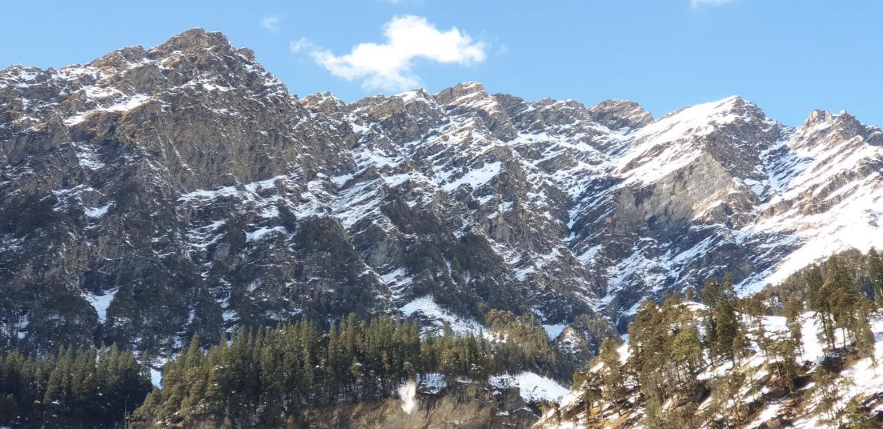 Backpackers Headquarter Manali Hostel Luaran gambar